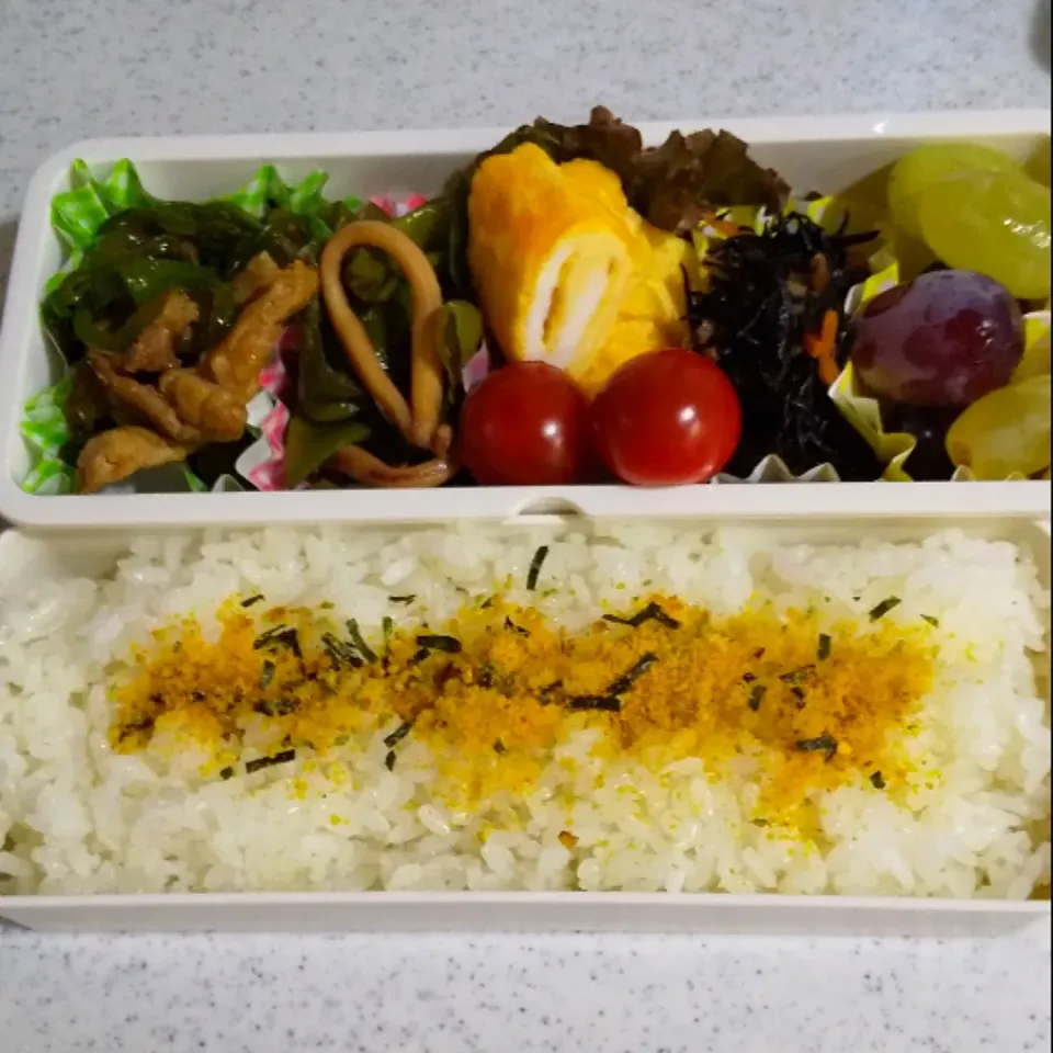 今日の息子のお弁当☀️|けーこさん