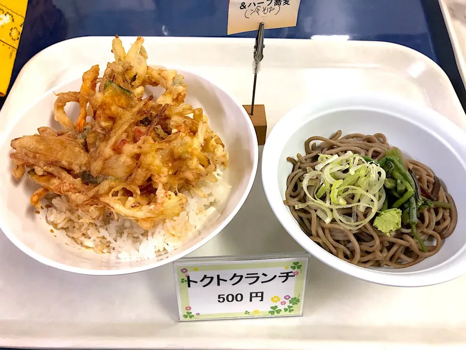 かき揚げ丼＆ハーフ冷そばセット|nyama1さん