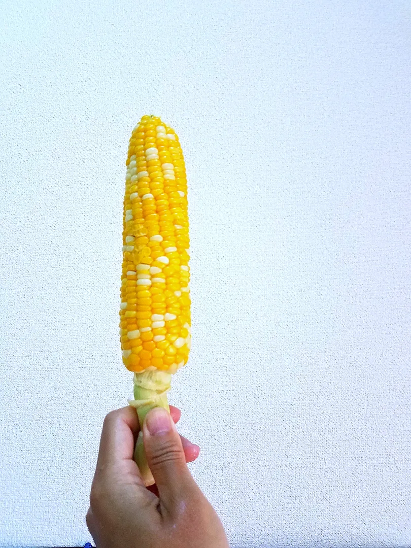 レンチンの夏休み🌽|masaki .fさん