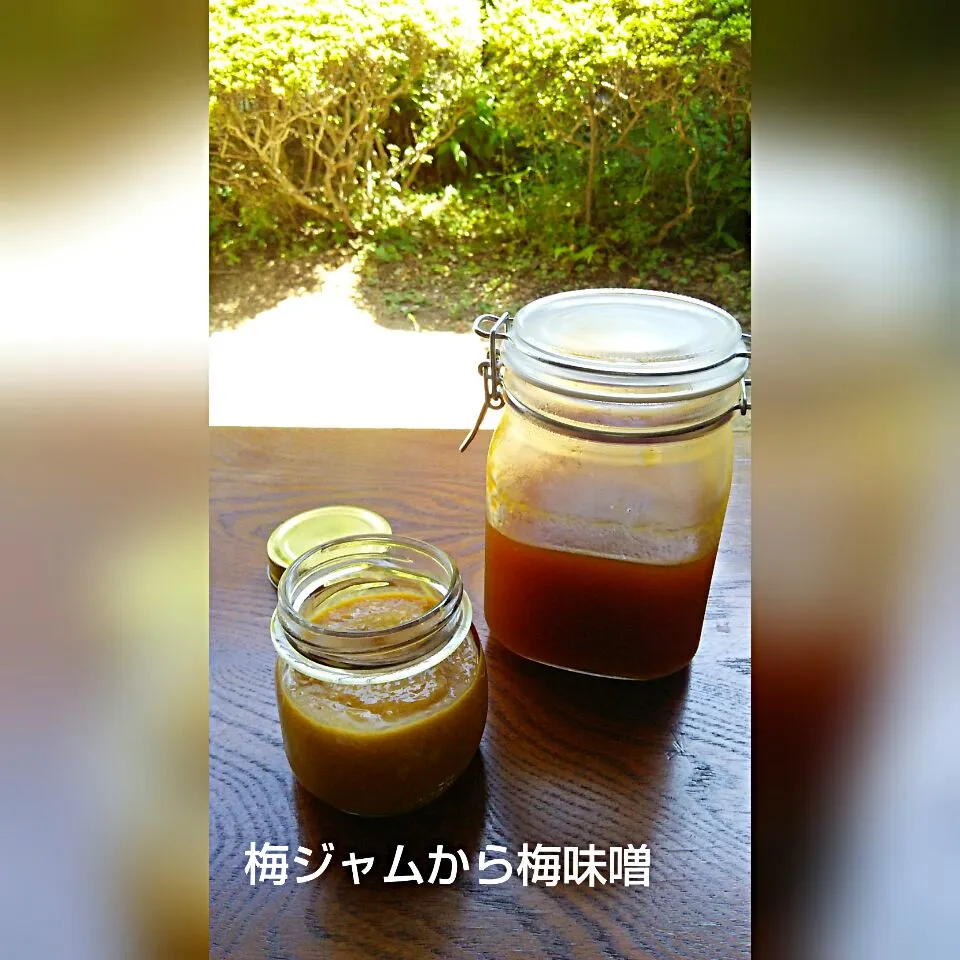 Snapdishの料理写真:梅ジャムからの梅味噌❤|ゆっこさん