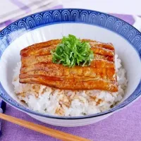 茄子の蒲焼丼