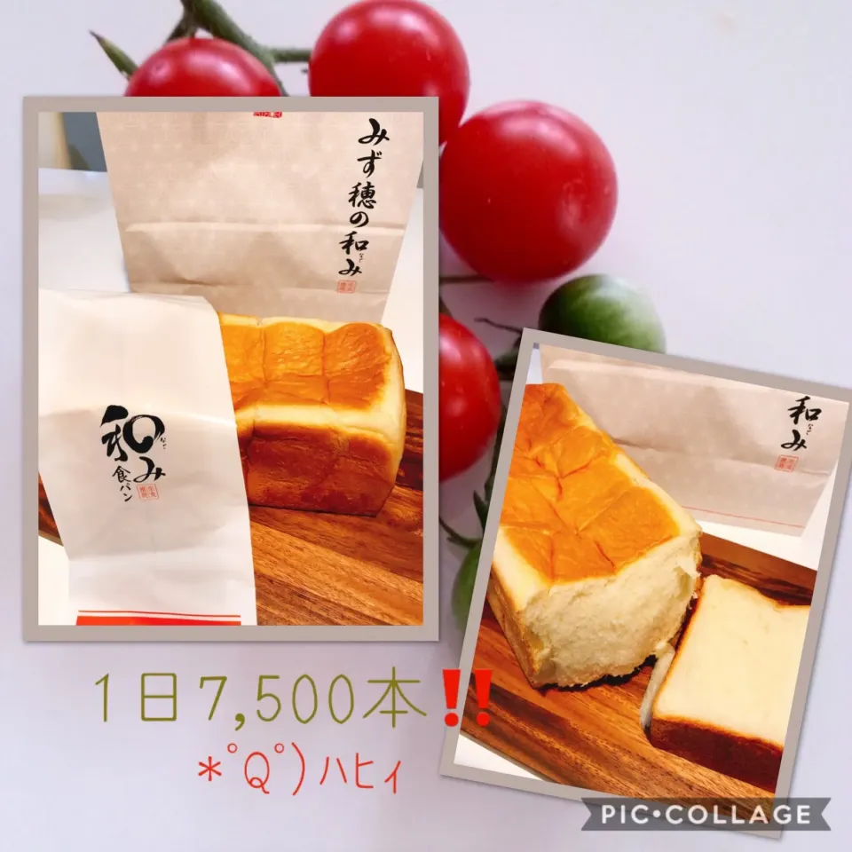 Snapdishの料理写真:#みず穂の和み🍞|みすてりあすゆっこさん