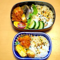 Snapdishの料理写真:お弁当|Megumi Makiyamaさん