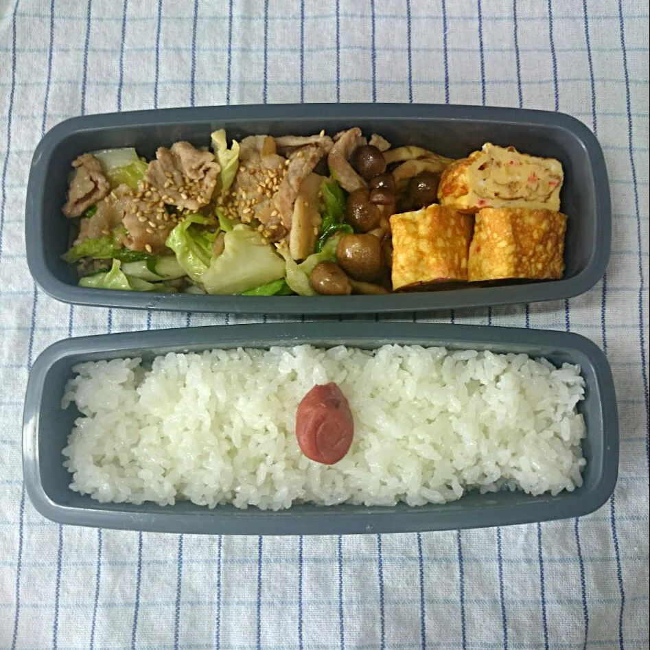 豚肉とキャベツの味噌炒め弁当|jun(・x・)さん