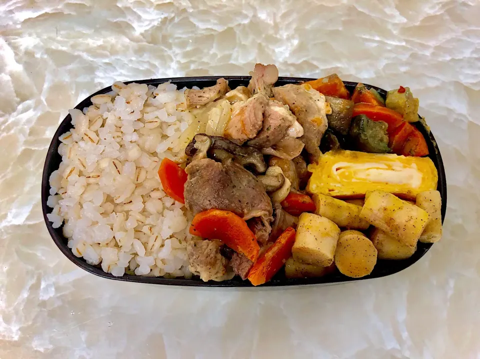 今日のお弁当6/27|としぼーさん