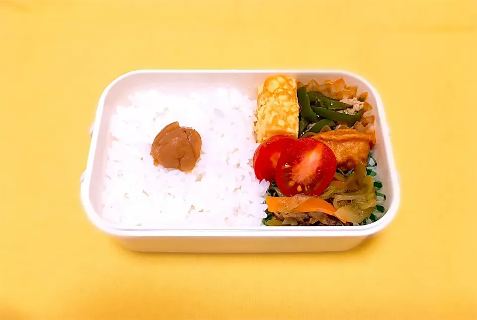 6月27日 #お弁当🌻|momoさん