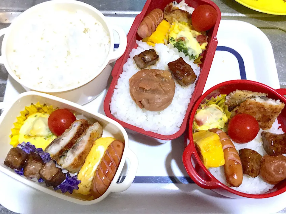 ミニキッシュと、鯖のチーズパン粉焼きのお弁当♪|こーやさん