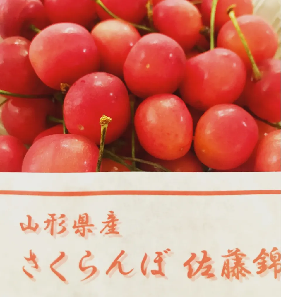 今年も佐藤錦が届いた🍒‼️|wildcat山猫さん