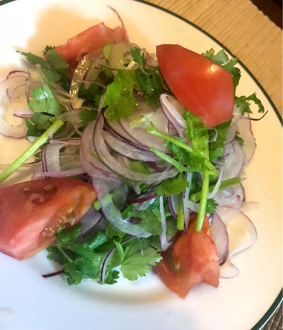 パクチー、たまねぎ、トマトのサラダ🍅|ゴンさん