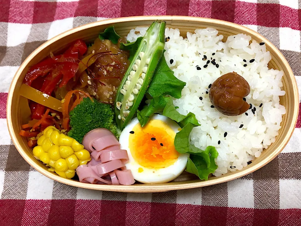 Snapdishの料理写真:曲げわっぱ弁当 #曲げわっぱ弁当 #鶏胸肉 #人参しりしり  #パプリカソテー|く る みさん