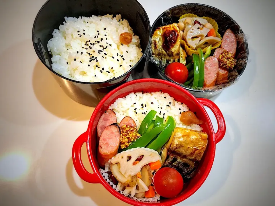 #きょうのお弁当 2019.6.4|merumamaさん