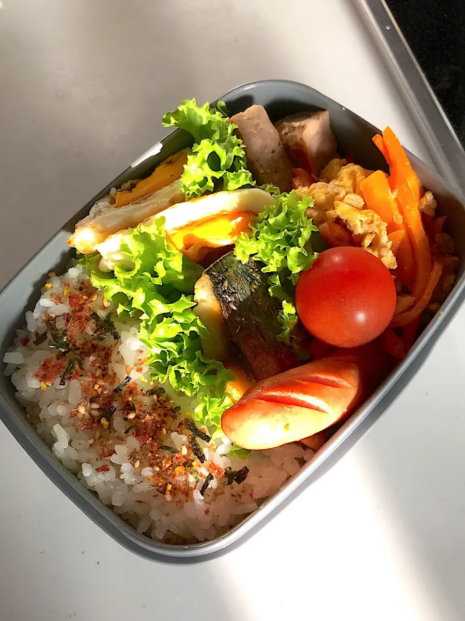 Snapdishの料理写真:旦那お弁当🍱|coronchanさん