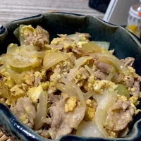 Snapdishの料理写真:豚肉と玉ねぎとたまごで炒めてみました。|しゃんぱいさん