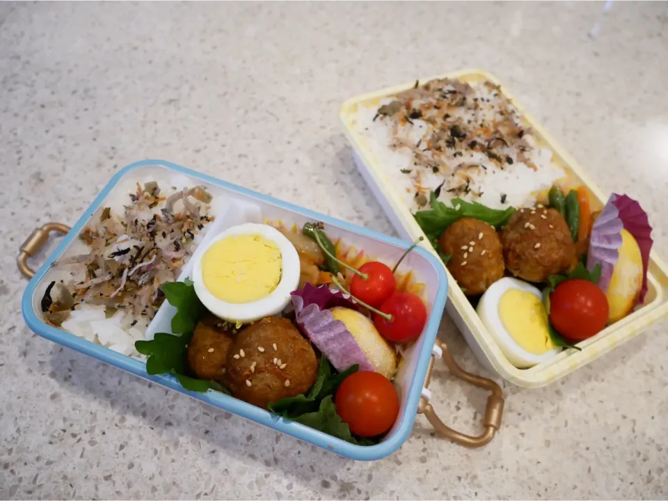 Snapdishの料理写真:19/07/01 父娘弁当♪|ikukoさん