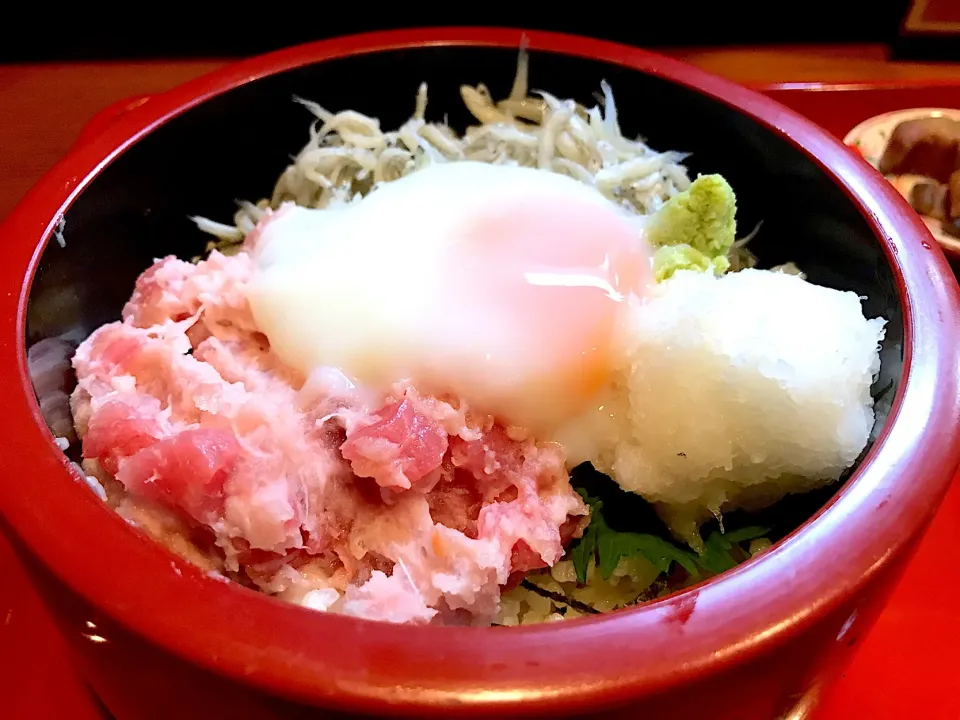 釜揚げシラスとネギトロの二色丼、温玉のせ|なお🅿️さん