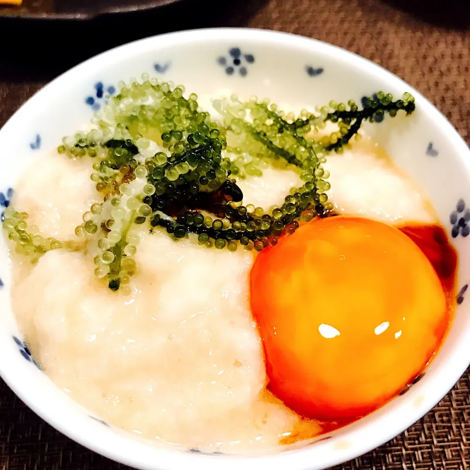 Snapdishの料理写真:とろろ+海ぶどう+卵黄醤油漬けかけごはん🍚
海ぶどうのプチプチ✨たまらん美味しい
#沖縄お土産
#海ぶどう
#とろろごはん|いちごさん