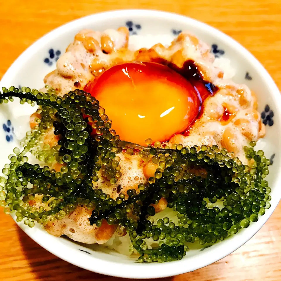 Snapdishの料理写真:黄身の醤油漬けと海ぶどうの納豆かけごはん
黄身の醤油漬け→時間が経ったから味か中まで染みてとろんとなってる
納豆に合います
#納豆ごはん
#海ぶどう
#黄身の醤油漬け|いちごさん