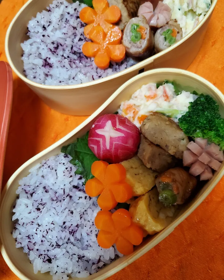 わっぱ弁当|古賀未来さん