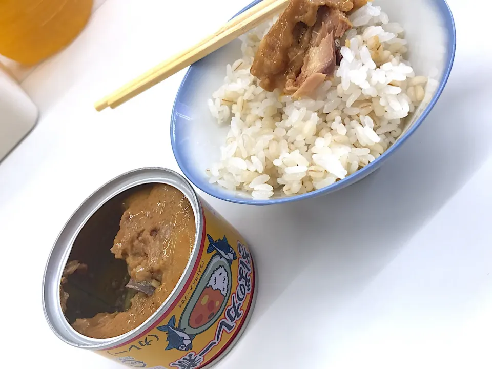 炊きたてもち麦ご飯に、サバのカレー煮♫wwwww（笑）！！|Yoshihiro Andoさん