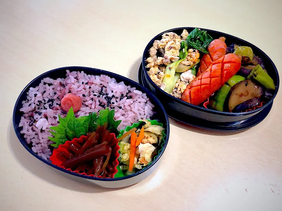 7／2昼食 #昼ごはん #弁当 •青梗菜と卵炒め/ウィンナーのケチャップ炒め/茄子とピーマン炒め •黒米入りご飯/浅漬け/伽羅蕗|おさんどんさん