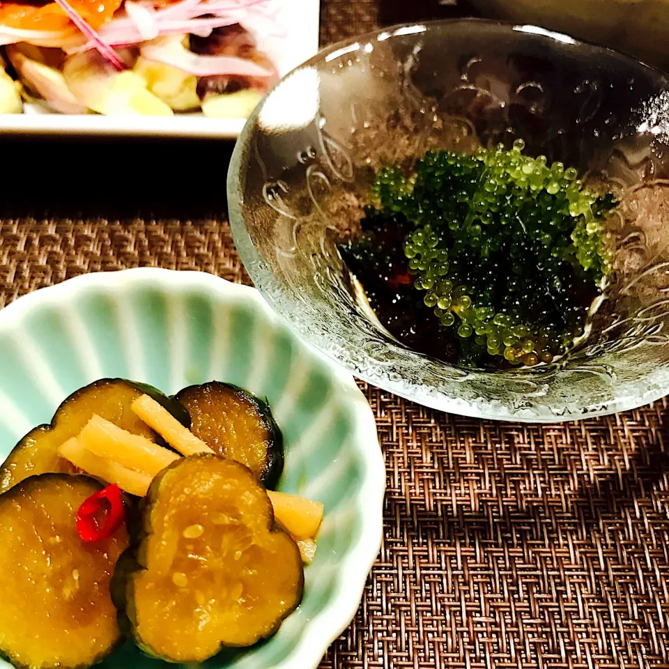 Snapdishの料理写真:海ぶどうのポン酢
手作りきゅうりのキューちゃん🥒
#きゅうりのキューちゃん|いちごさん