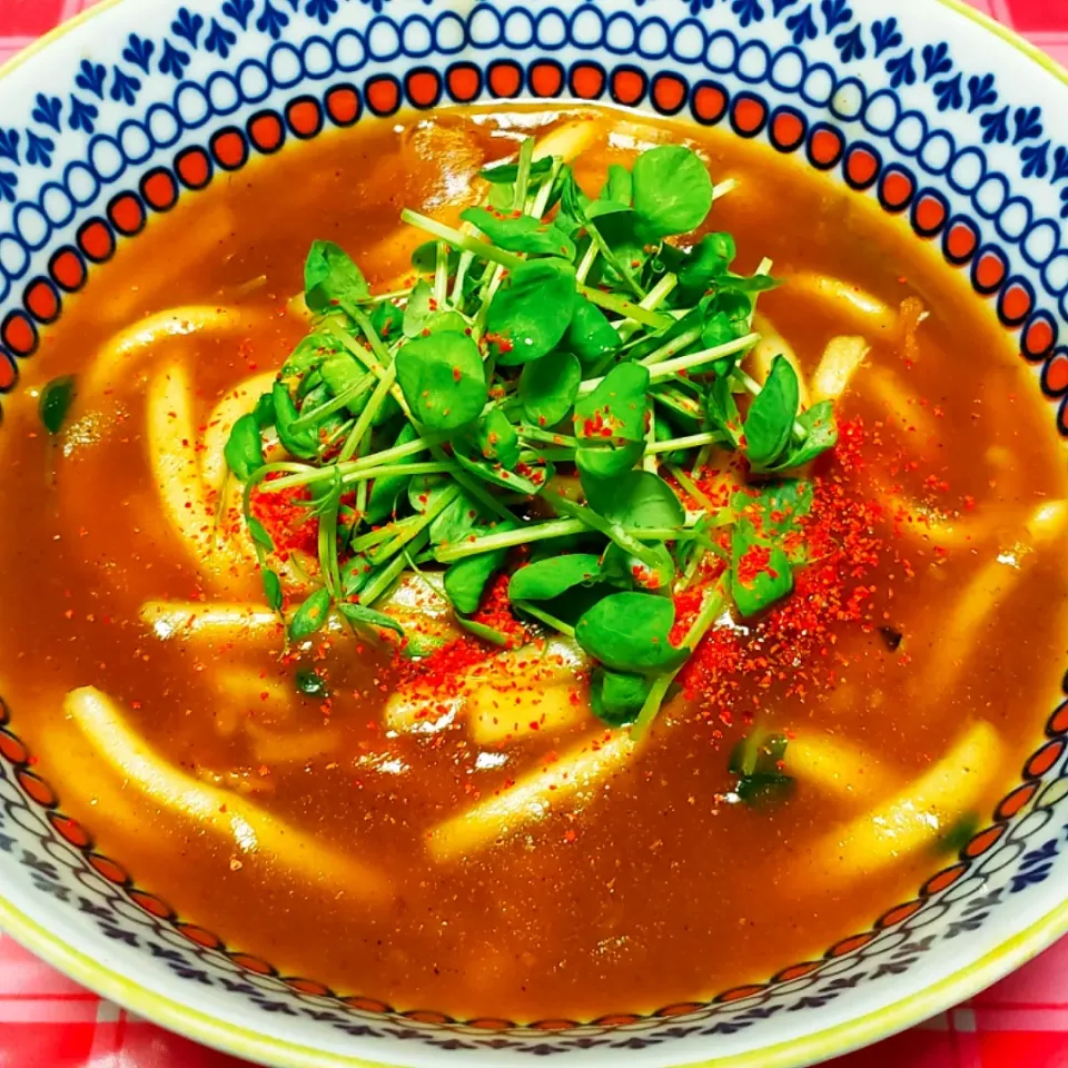 昨夜のカレーリメイク
お出汁が効いた
和風カレーうどん🍜|yukaringoさん