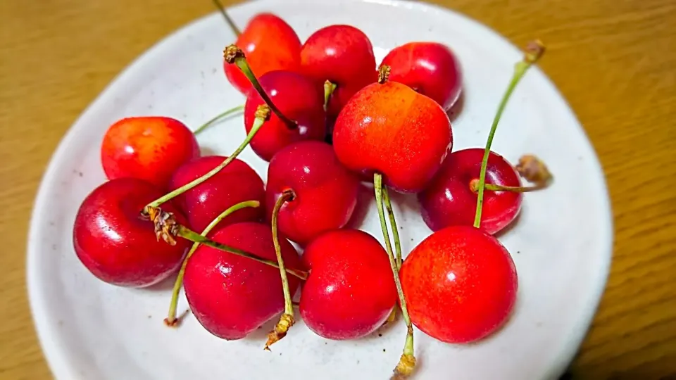 頂き物の紅秀峰って言うさくらんぼ🍒|こむぎさん