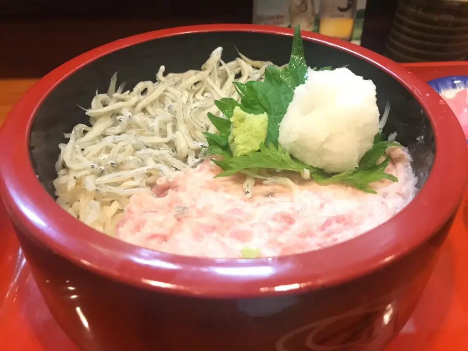 Snapdishの料理写真:シラスとネギトロのの二色丼|なお🅿️さん