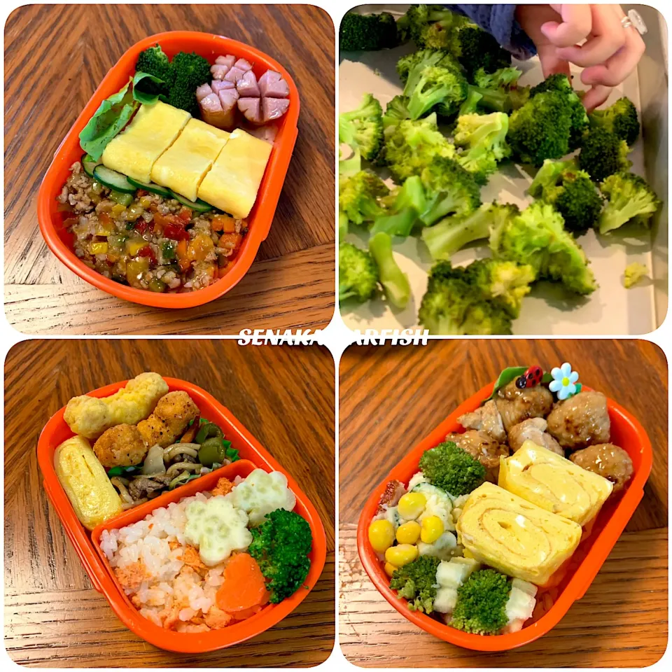 幼稚園のお弁当|愛さん