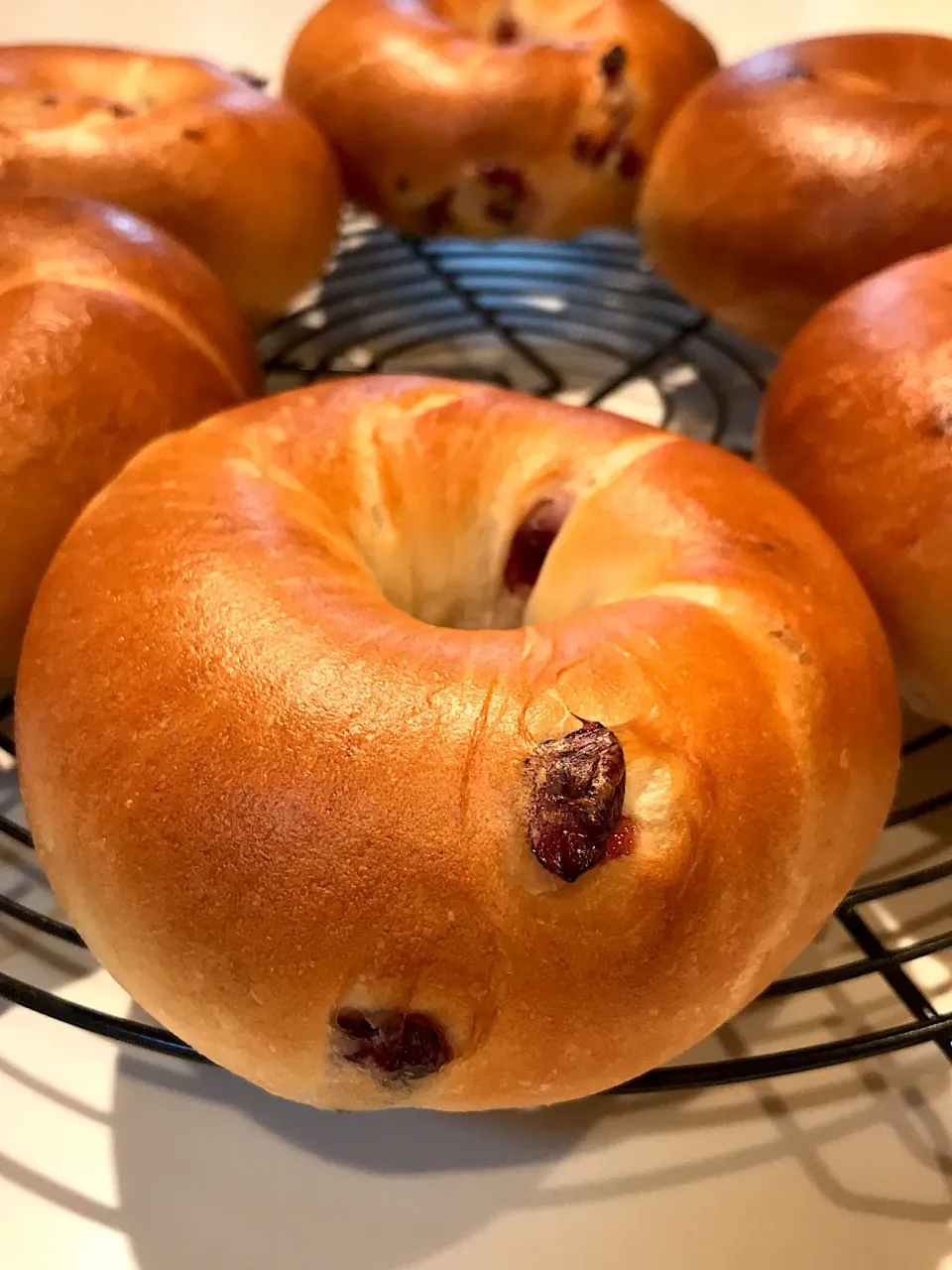 クランベリーベーグル🥯
フィリングにはクリチ♡|まーよんさん