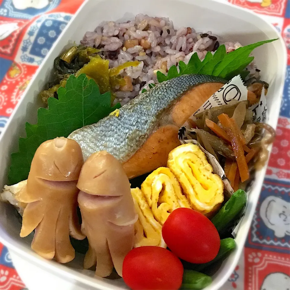 ゆきのちゃんのお弁当|Saoriさん