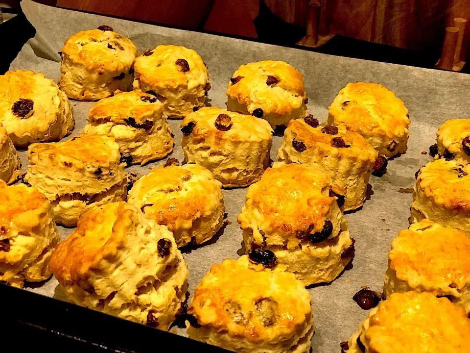 Homemade raisin scones|Babyluv Cabrera Ocampoさん