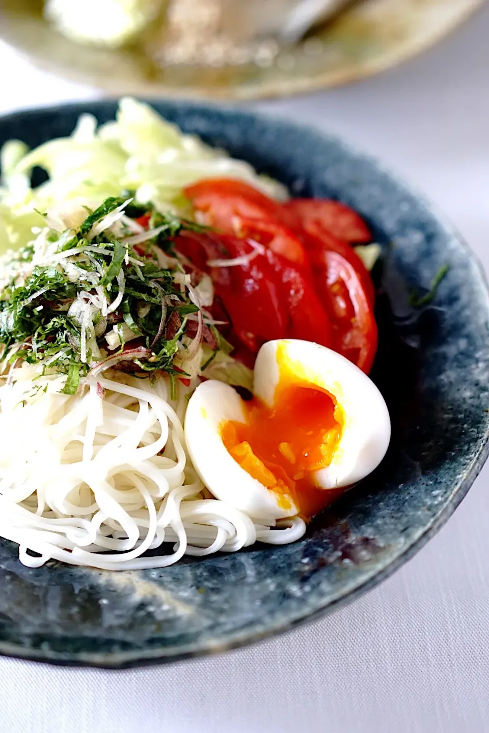 冷やしサラダうどん|てつやさん