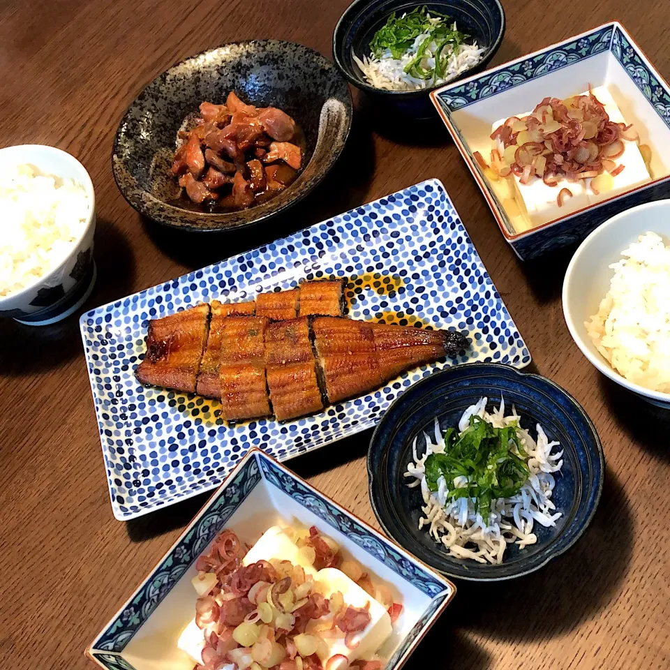 鰻の蒲焼き
砂肝のニンニク醤油炒め
ミョウガたっぷり豆腐
しらすの釜揚げ|モスグリーンさん