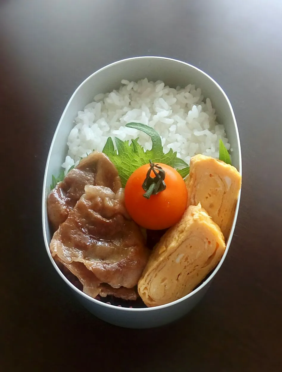 新しい弁当箱弁当🍱|YUKI_Jさん