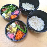 Snapdishの料理写真:アジのみりん干し弁当|エコミンさん