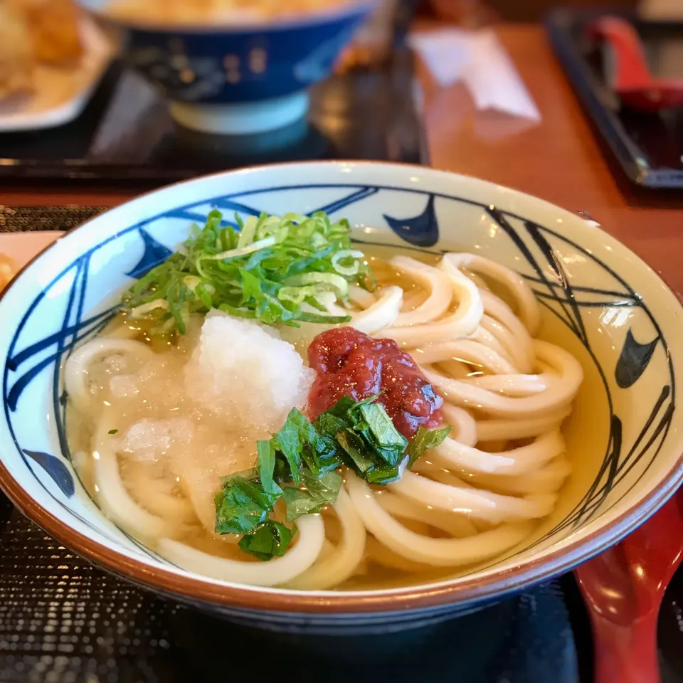 梅おろし冷やかけ（並）#ダイエット#うどん #丸亀製麺|川村大作さん