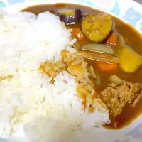 茄子カレー|せつこさん