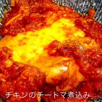 チキンのチートマ煮込み|トルコ東京 井野桂吾さん