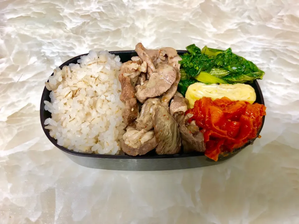 今日のお弁当7/11|としぼーさん