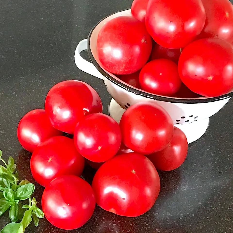 Snapdishの料理写真:農家さん完熟トマト🍅🍅|シュトママさん