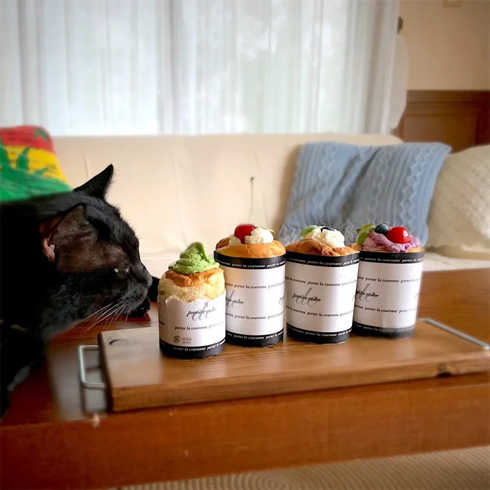 カップ シフォンケーキ🧁と猫🐾|美味飯さん