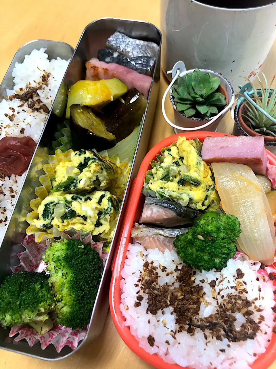 シャケの塩麹焼き ラタトゥイユ ベーコンソテー ほうれん草オムレツ ブロッコリー🥦弁当|Kumiko Kimuraさん