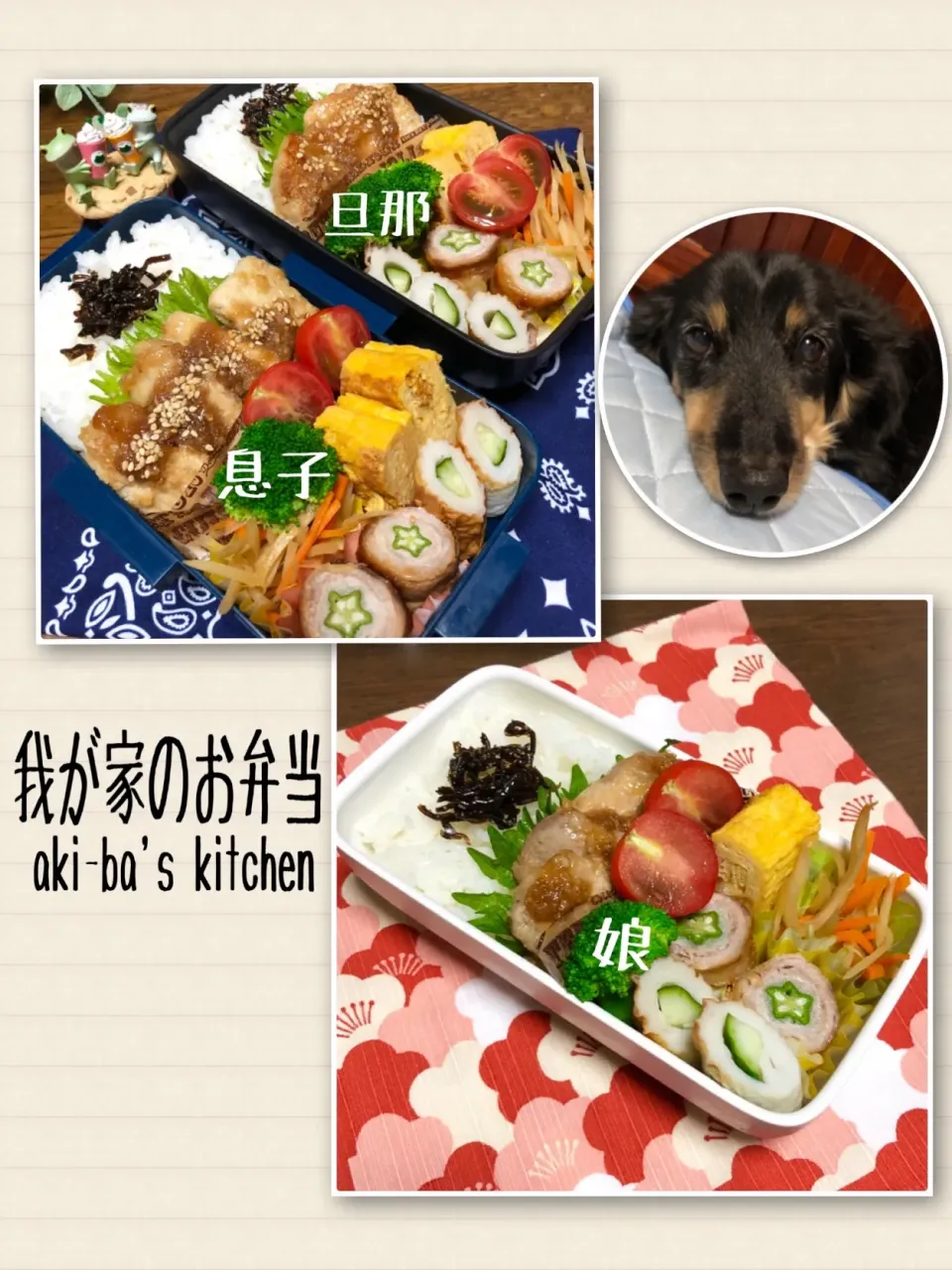 我が家のお弁当7/12|アキーバさん