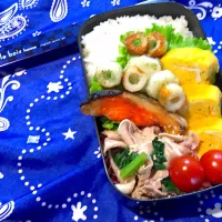 Snapdishの料理写真:20190709 少食高校生男子お弁当|りゅうささん