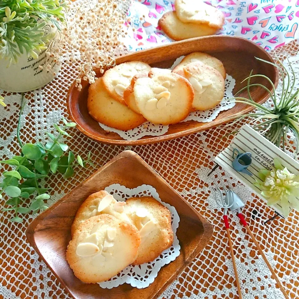 チュイル💕|とまと🍅さん