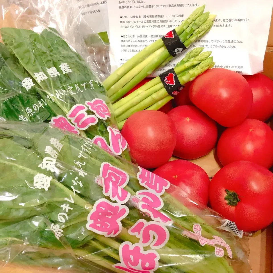 JA愛知さまから 旬のお野菜届きました☆|ぷらっとさん