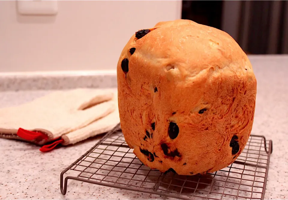 Snapdishの料理写真:①夜な夜なレーズンパンリベンジ🍞🍇|おーやんさん