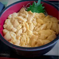 ウニ丼|ほりたのぶあきさん