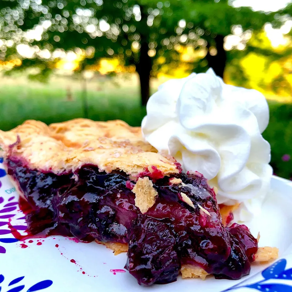 Blueberry pie|Dean M Rogersさん